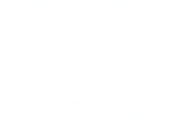 Ouverture de la Galerie des Papillons en 1994 A l’étage, dans une salle climatisée, vous découvrirez une splendide collection de plus de 5000 chefs-d’oeuvre de la Nature, provenant du monde entier. Tous ont été choisis en raison de leur rareté ou de leur beauté. Emerveillement assuré !!! Les insectes nous apprennent à mieux discerner notre environnement et à mieux le respecter. Le DYNASTES HERCULES ( Espèce protégée) est l'un des plus grands coléoptères du monde qui vit en GUADELOUPE